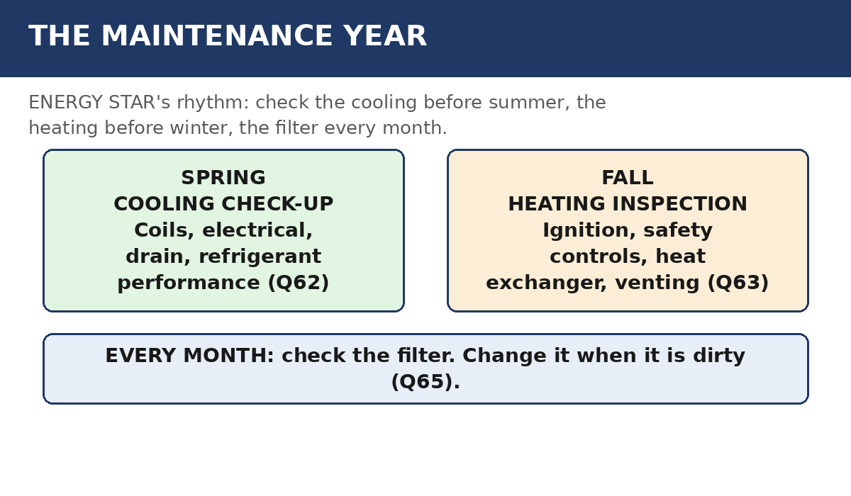 Year calendar illustration marking a spring air conditioning service visit, a fall heating service visit, and a small filter-check reminder in every month.